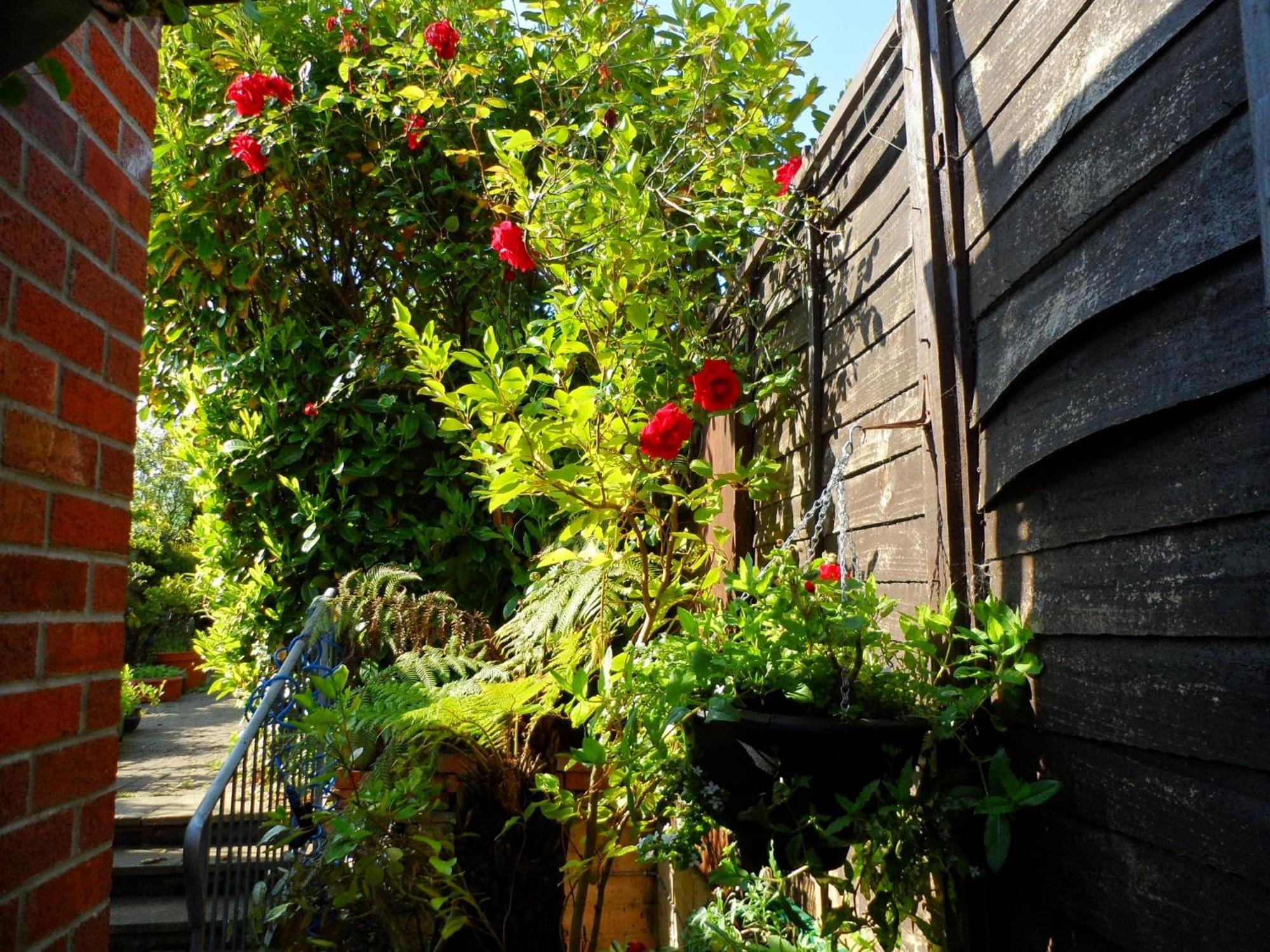 Galway Guest House Weymouth Eksteriør billede